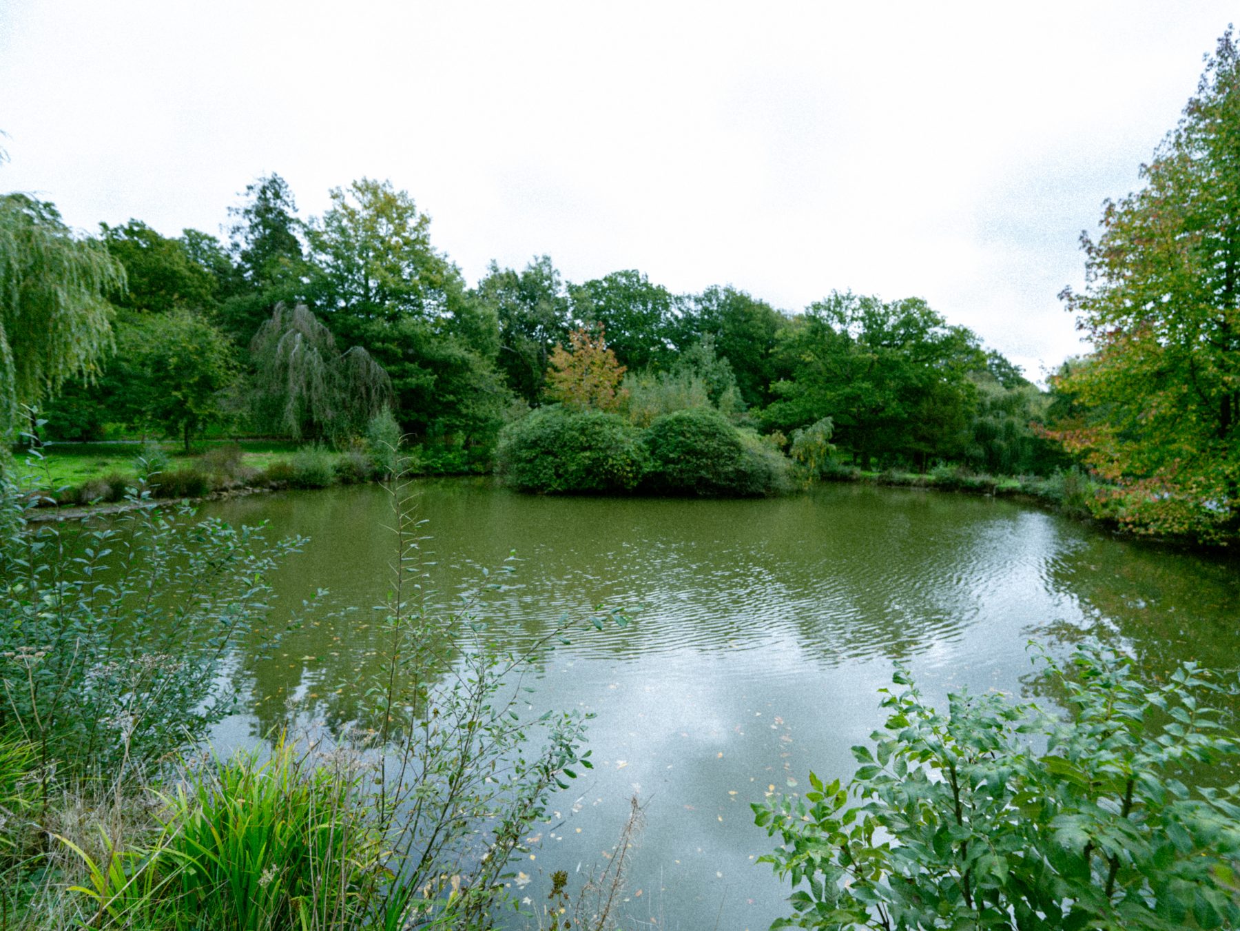The lake at Powdermills, East Sussex